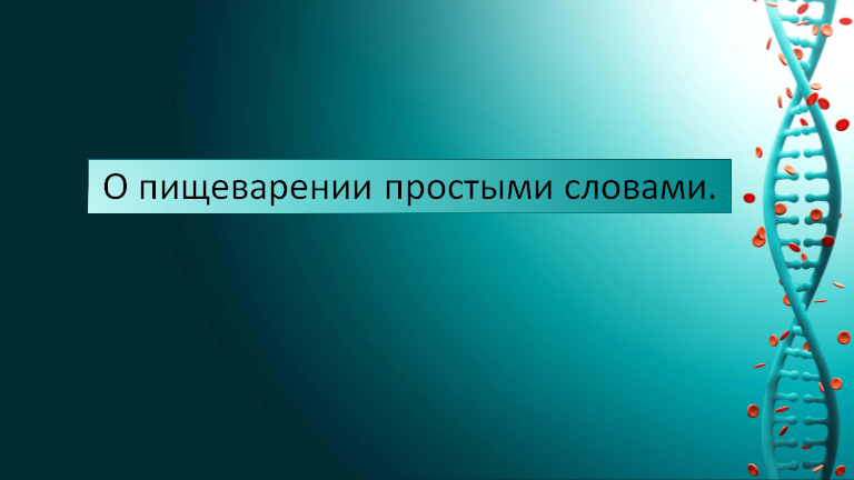 Презентация о ЖКТ
